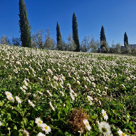 Agriturismo Val Della Pieve Anghiari Eksteriør billede