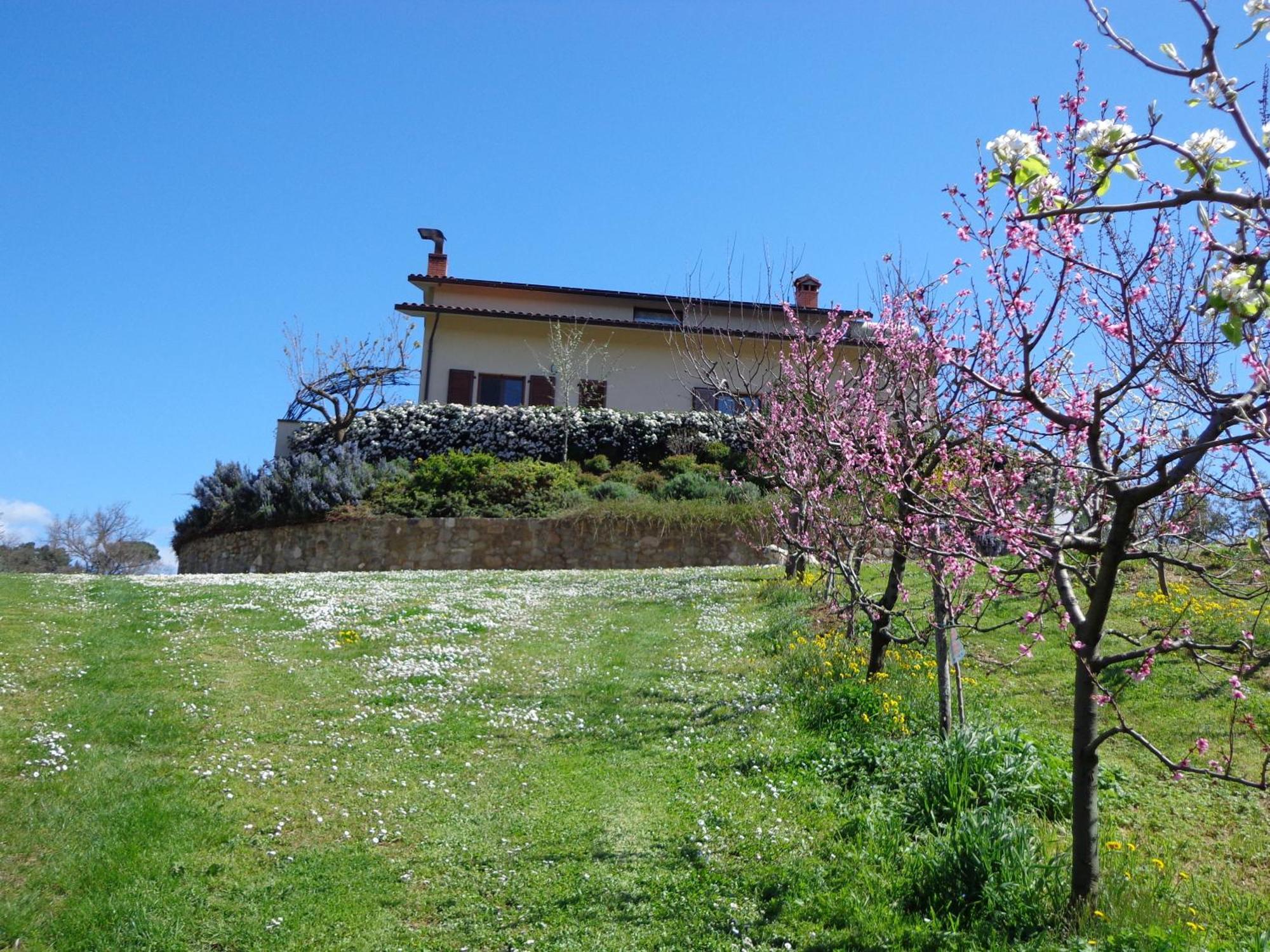 Agriturismo Val Della Pieve Anghiari Eksteriør billede