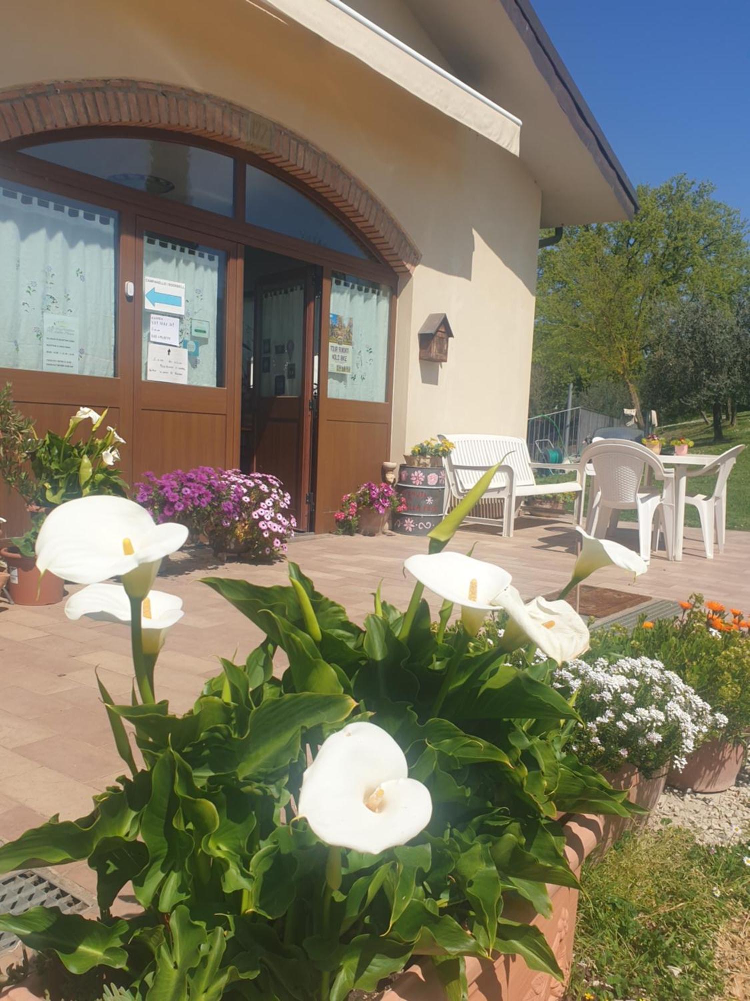 Agriturismo Val Della Pieve Anghiari Eksteriør billede