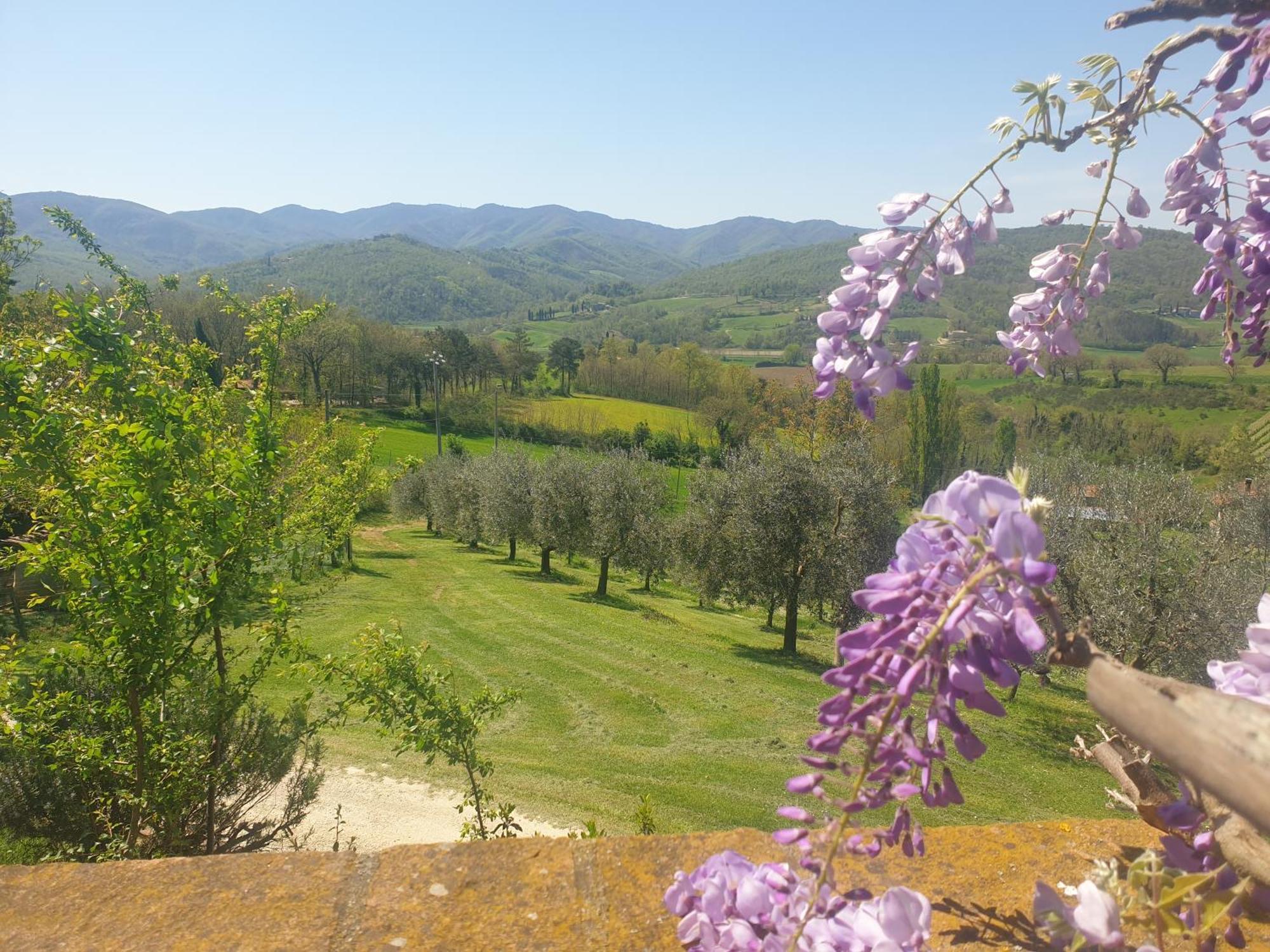 Agriturismo Val Della Pieve Anghiari Eksteriør billede