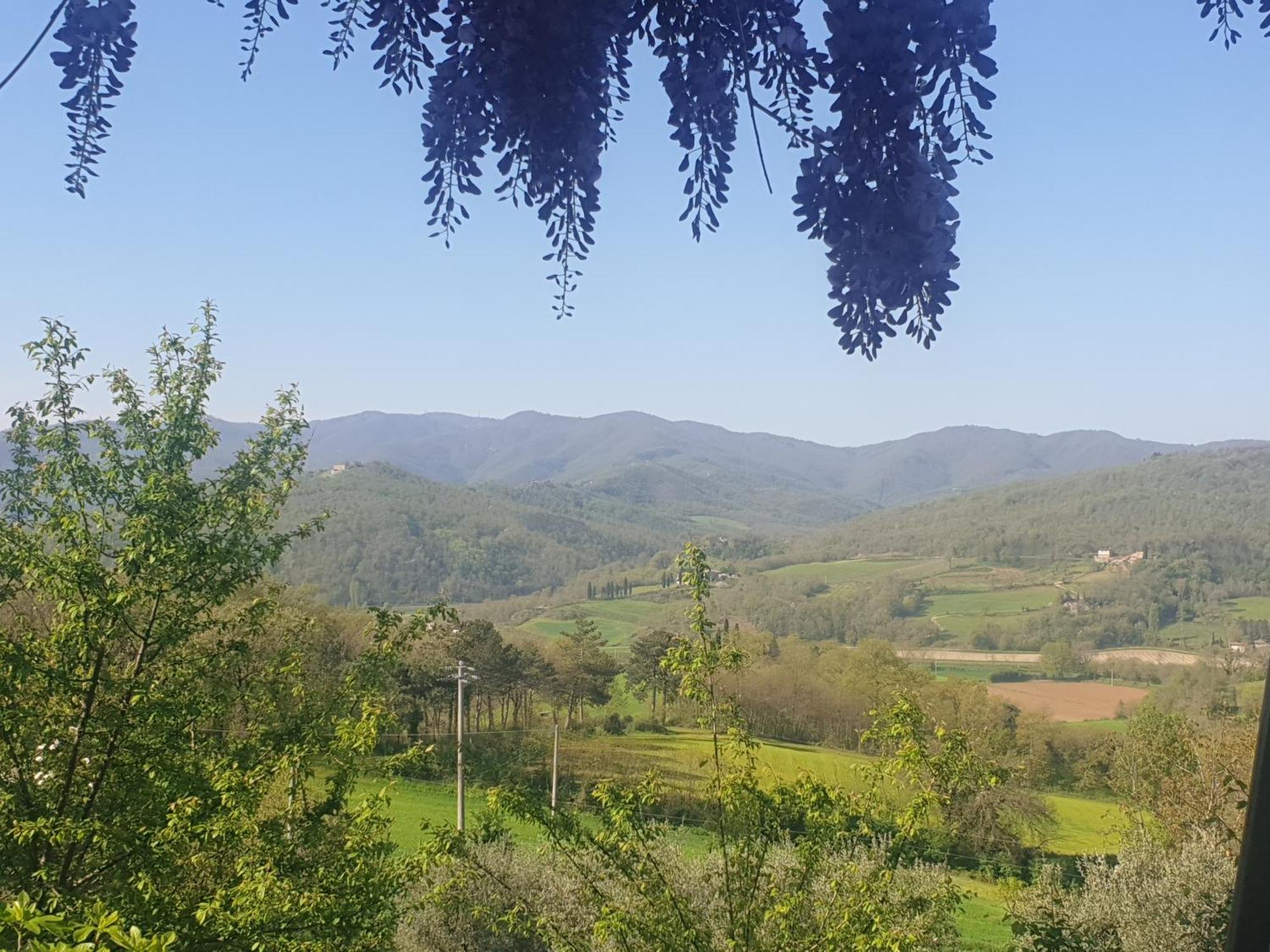 Agriturismo Val Della Pieve Anghiari Eksteriør billede