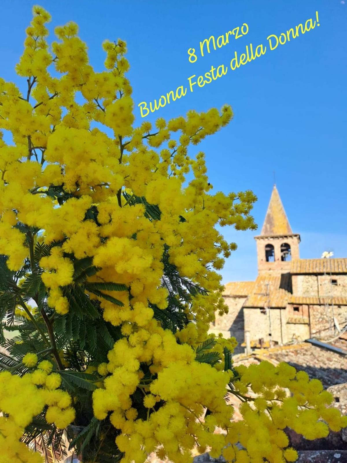 Agriturismo Val Della Pieve Anghiari Eksteriør billede